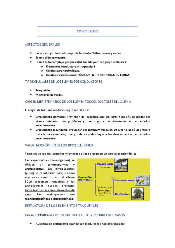 Miniatura del documento TEMA-7-XILEMA.pdf