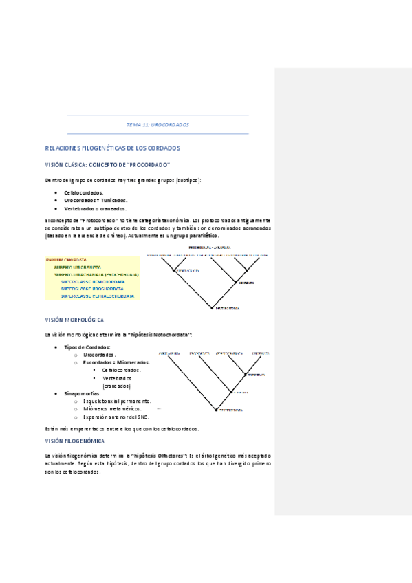 Miniatura del documento TEMA-11-UROCORDADOS.pdf