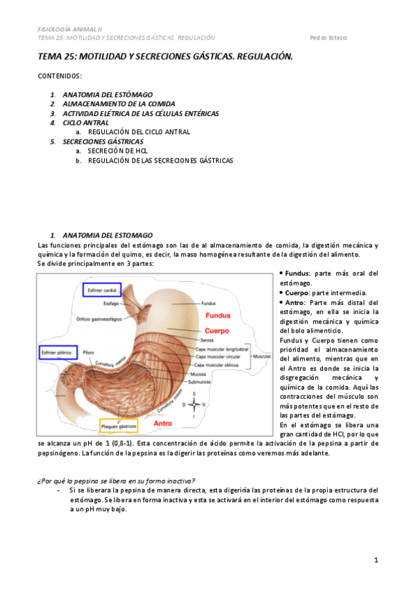Miniatura del documento TEMA-25.pdf