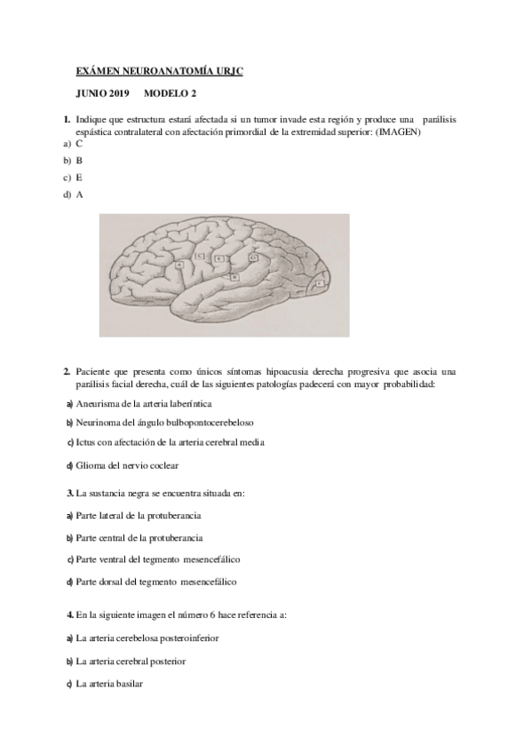 Miniatura del documento Neuro-recuperacion-2019.pdf