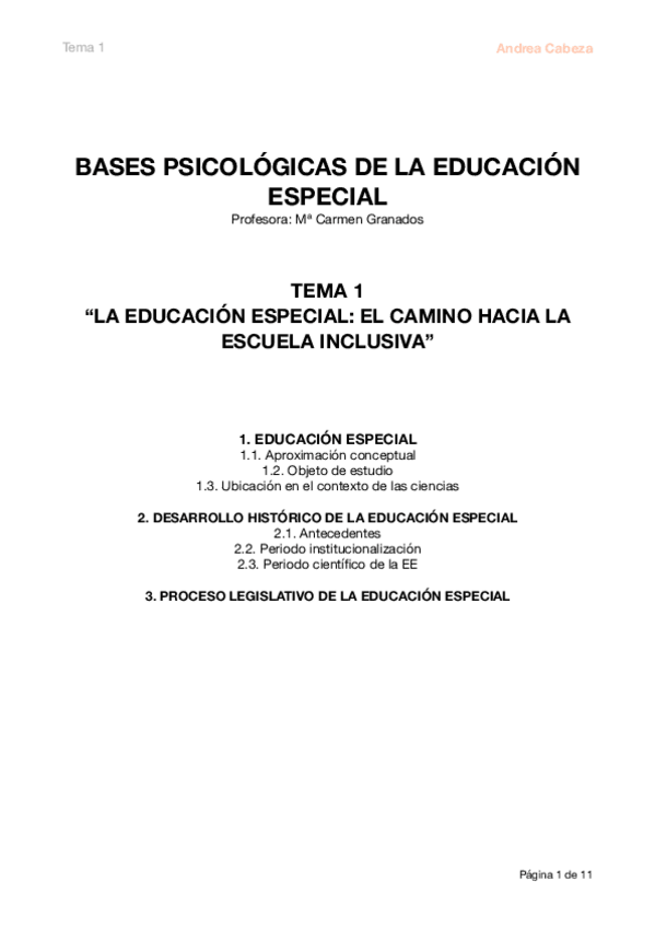 Miniatura del documento BASES-1.pdf