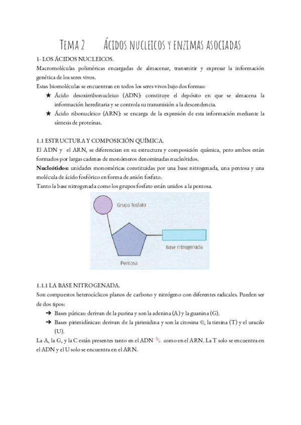 Miniatura del documento BMC-T.pdf