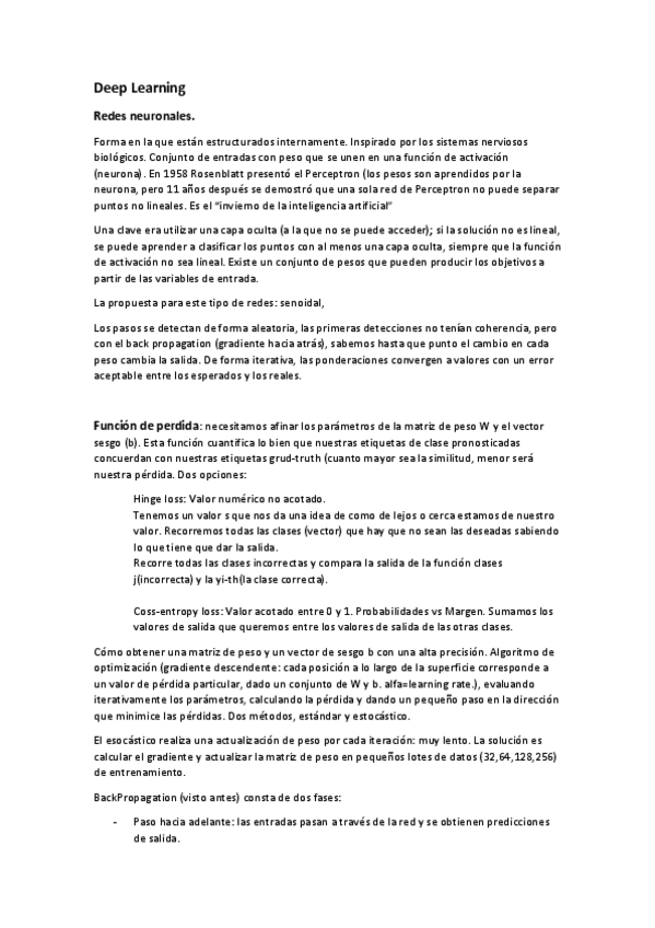 Miniatura del documento Deep-Learning.pdf