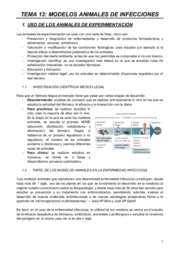 Miniatura del documento MODELOS-T13.pdf