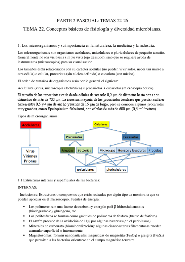 Miniatura del documento PASCUAL-Apuntes-T.pdf