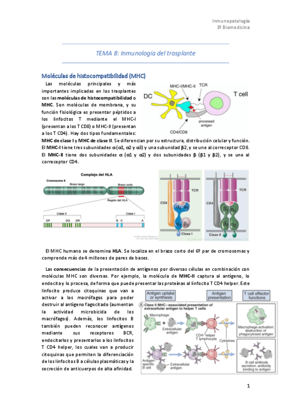 Miniatura del documento Tema-8.pdf