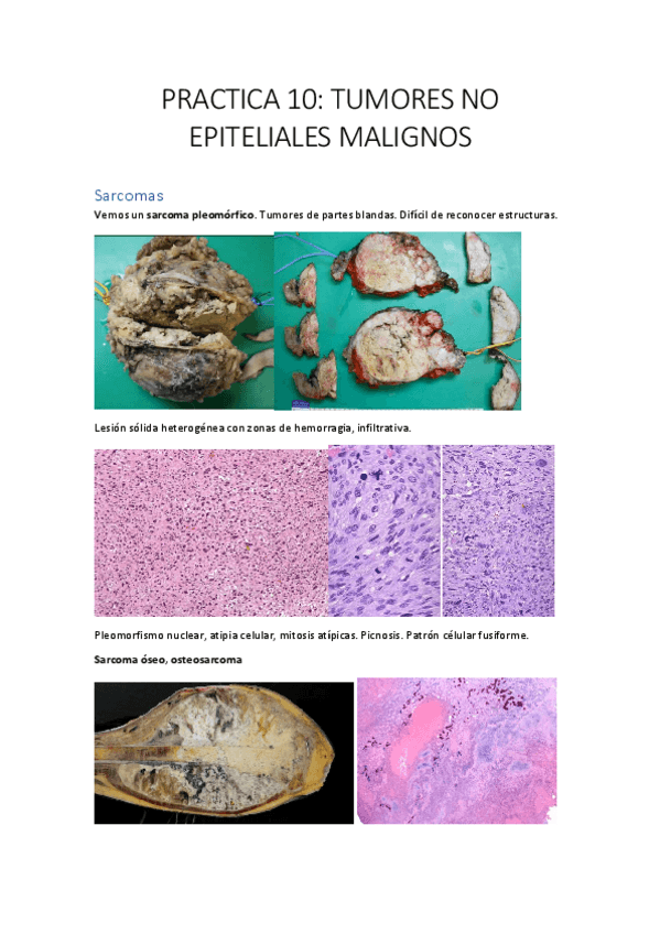 Miniatura del documento PRACTICA-10.pdf