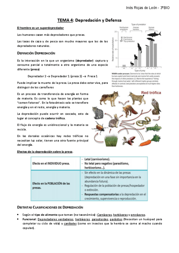 Miniatura del documento TEMA-4.pdf