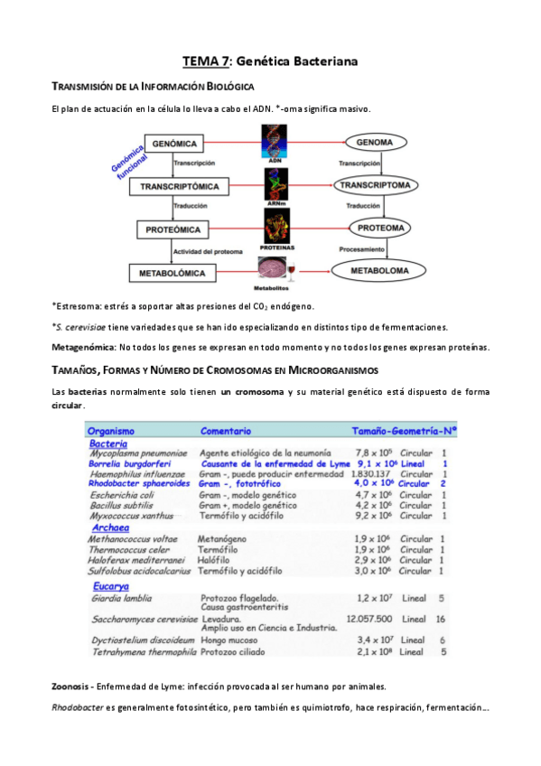 Miniatura del documento TEMA-7.pdf