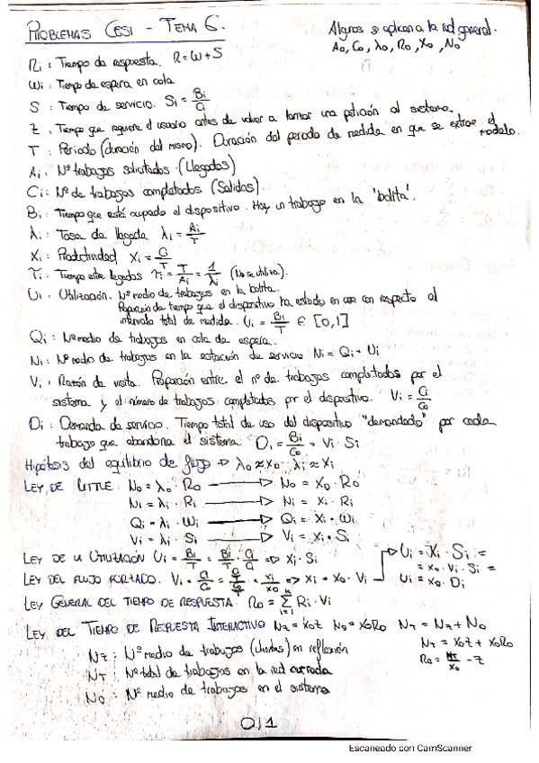 Miniatura del documento Cesi-problemas-paginas-10-11.pdf