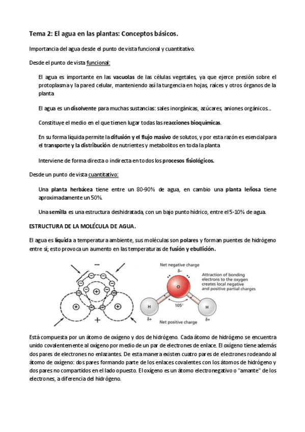 Miniatura del documento Temas-2-3-4-5-6-7-FV.pdf