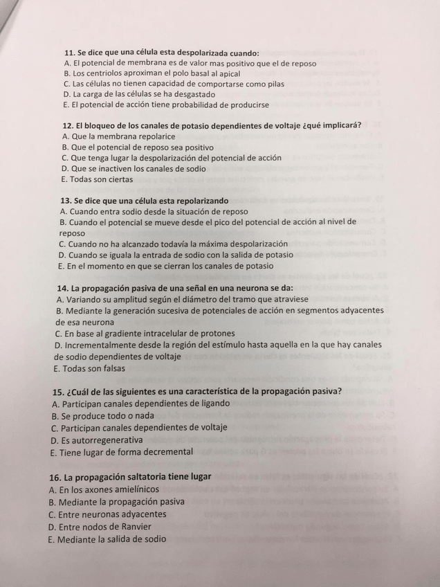 Miniatura del documento WhatsApp-Image-2021-01-12-at-13.jpg