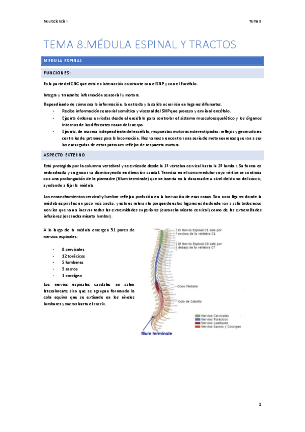 Miniatura del documento Tema-8.pdf
