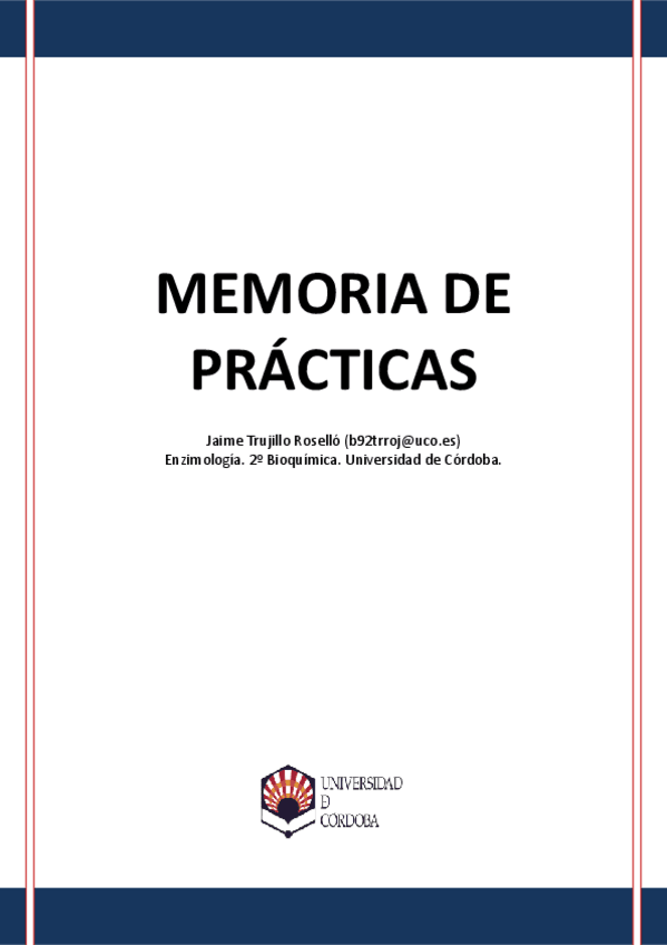 Miniatura del documento Memoria-Practicas.pdf