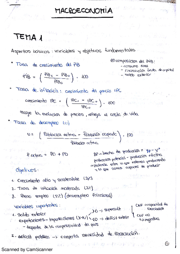 Miniatura del documento tema 1.pdf