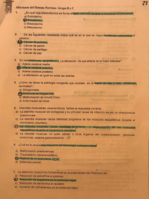 Miniatura del documento WhatsApp-Image-2019-05-22-at-19.jpg