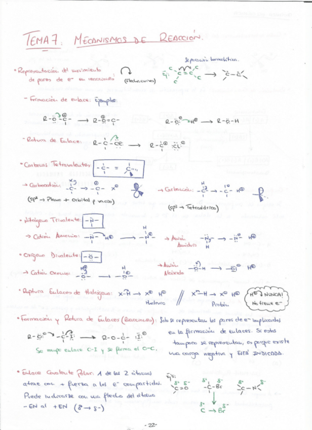 Miniatura del documento TEMA 7.pdf