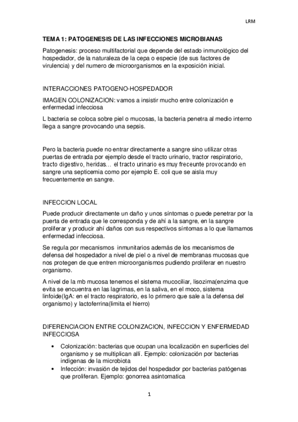 Miniatura del documento MPC MICRO ENCARNACION.pdf