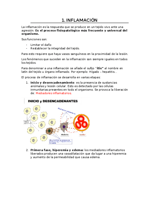 Miniatura del documento FISIOPATOLOGIA-1er-CUATRIMESTRE-.docx