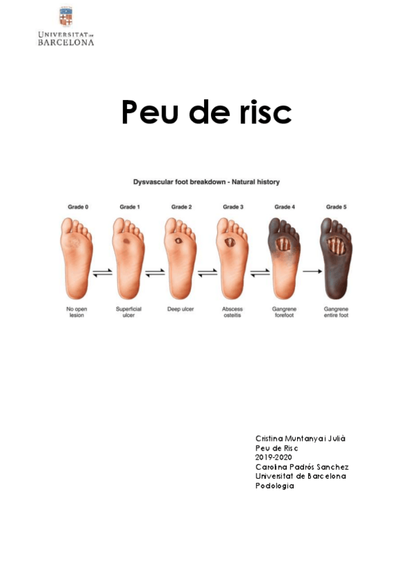 Miniatura del documento Peu-de-Risc-Cristina.pdf