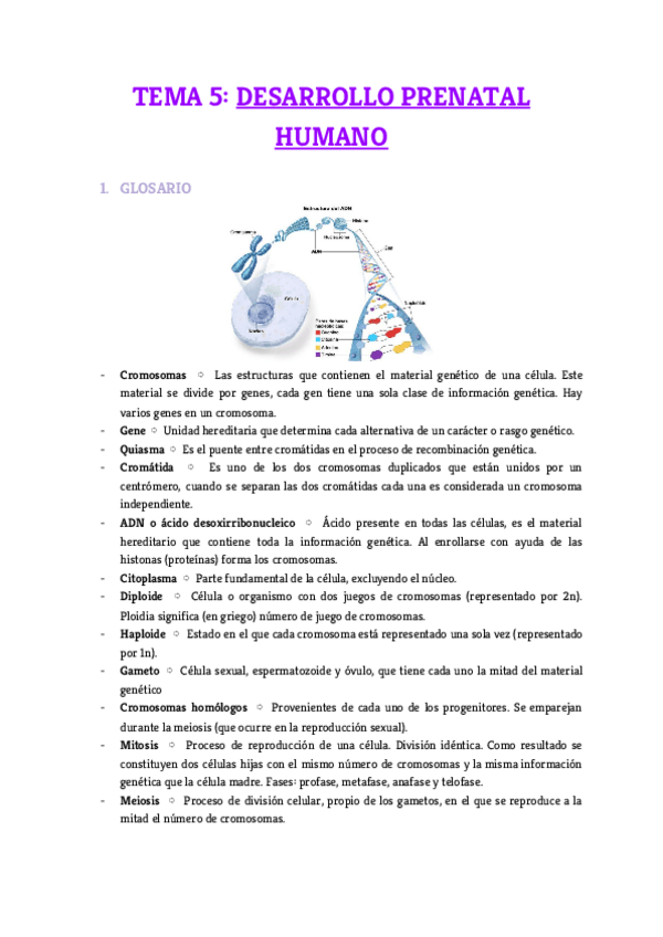 Miniatura del documento Tema-5.pdf