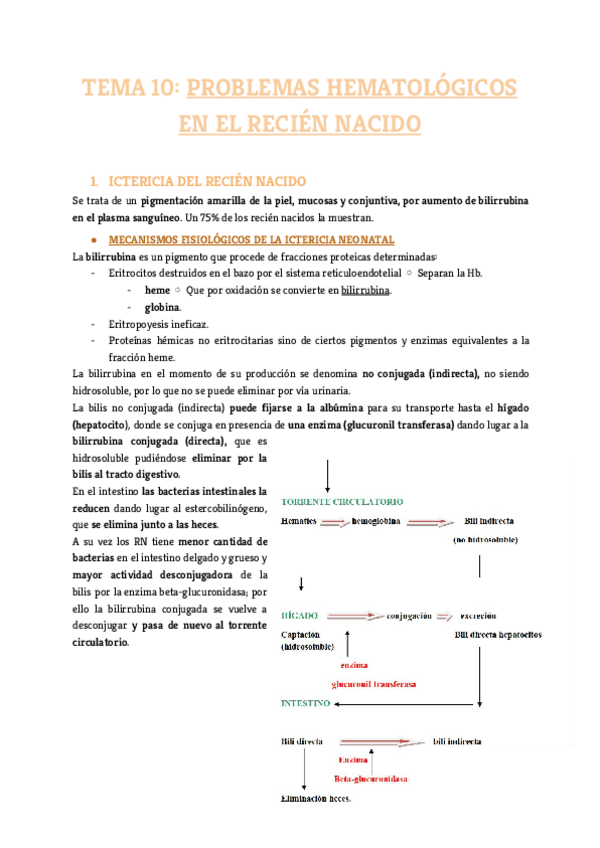 Miniatura del documento Tema-10.pdf