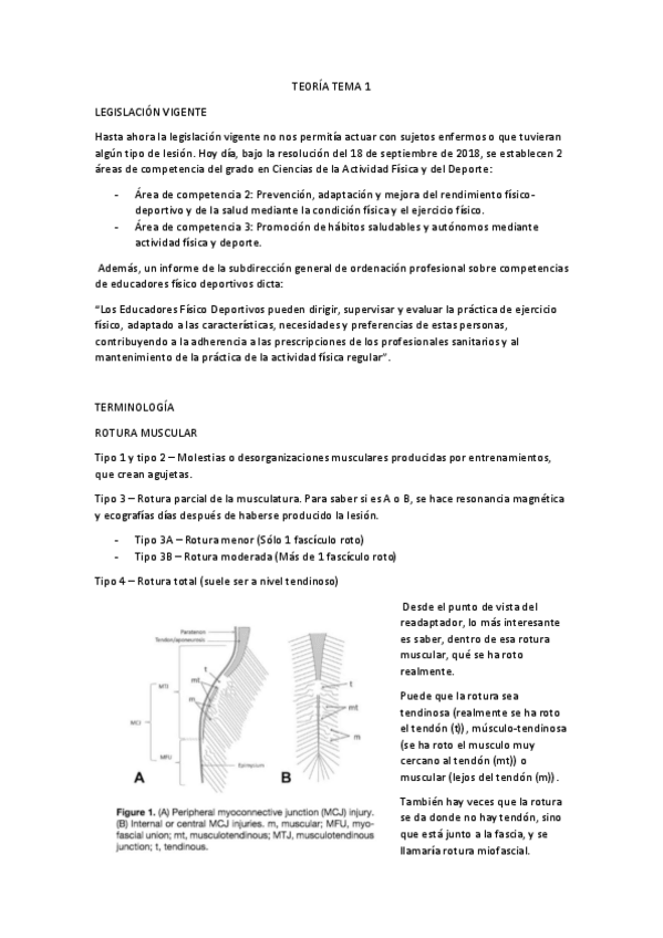 Miniatura del documento Tema-1-Readaptacion.pdf