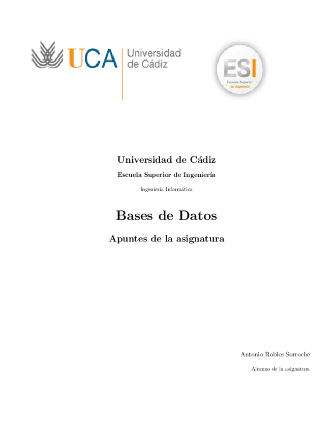 Miniatura del documento BaseDatos___teoria.pdf