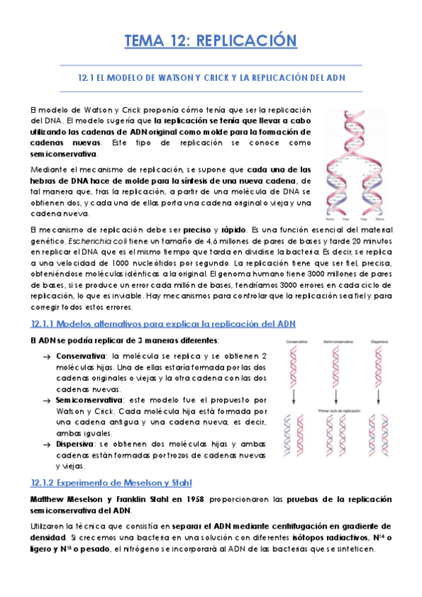 Miniatura del documento TEMA-12.pdf