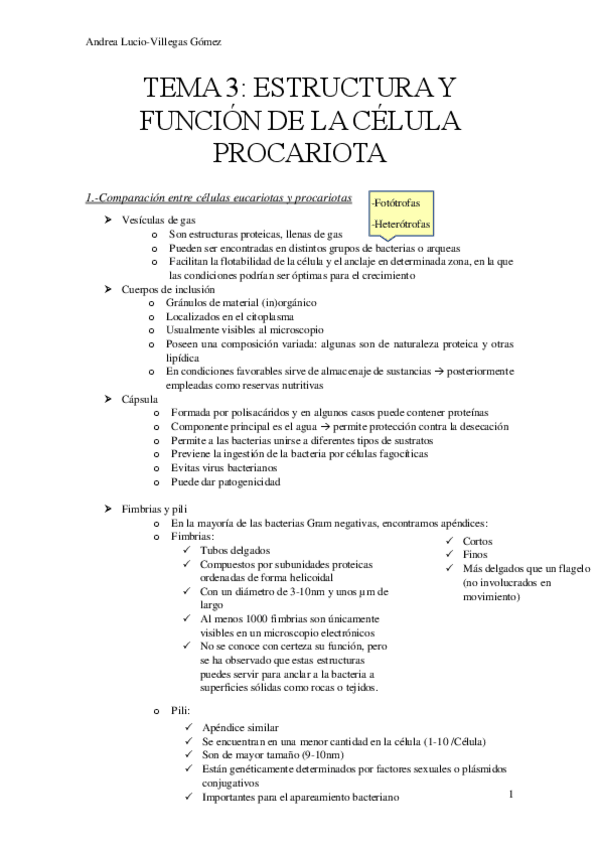 Miniatura del documento micro-tema-3.pdf