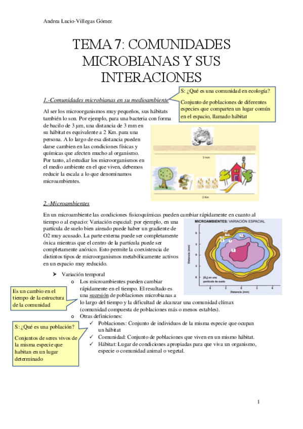 Miniatura del documento TEMA-7-micro.pdf