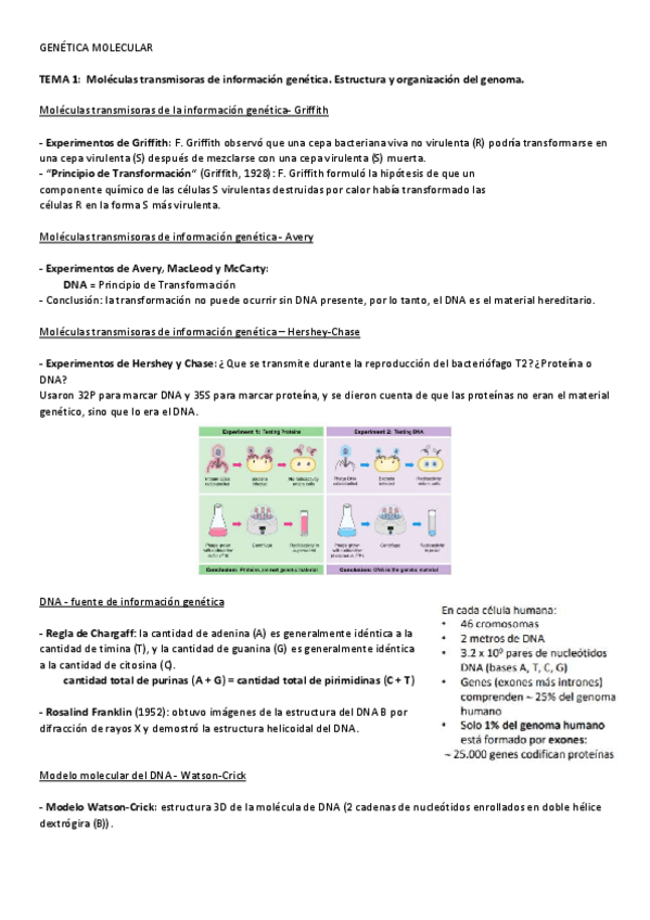 Miniatura del documento Parcial-1-Genetica-molecular.pdf