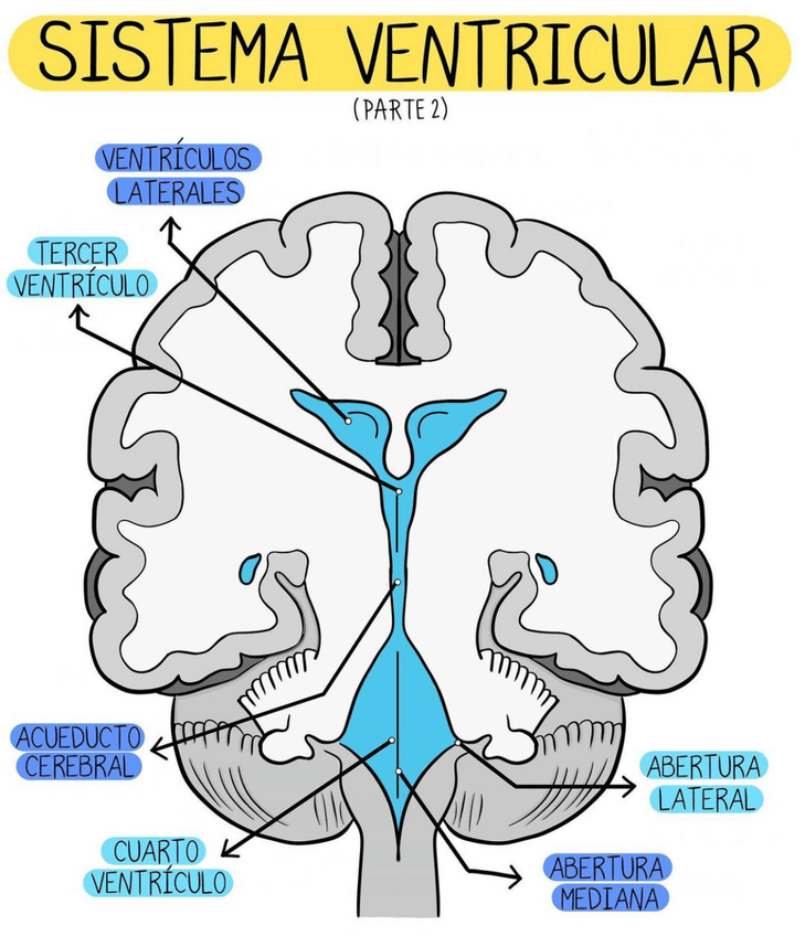 Miniatura del documento 4D6B9CC3-DA37-4195-B909-A0DECAA9BA17.jpg