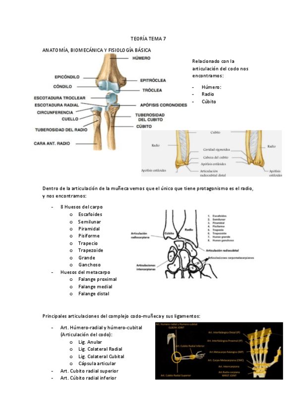 Miniatura del documento Tema-7-Readaptacion.pdf
