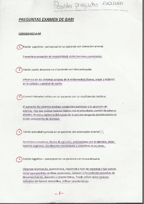 Miniatura del documento posibles-preguntas-gaby.pdf
