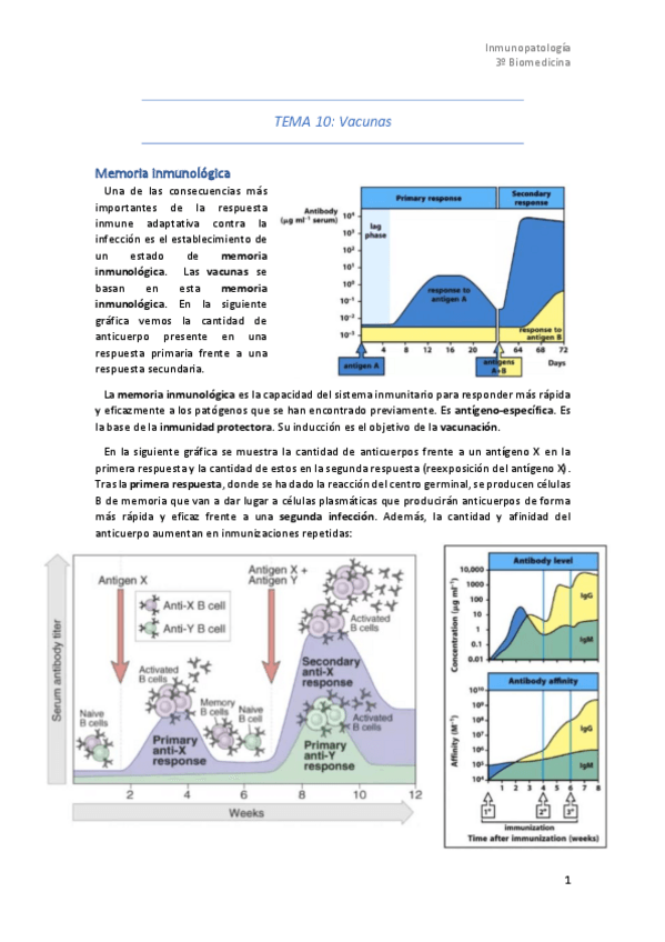 Miniatura del documento Tema-10.pdf