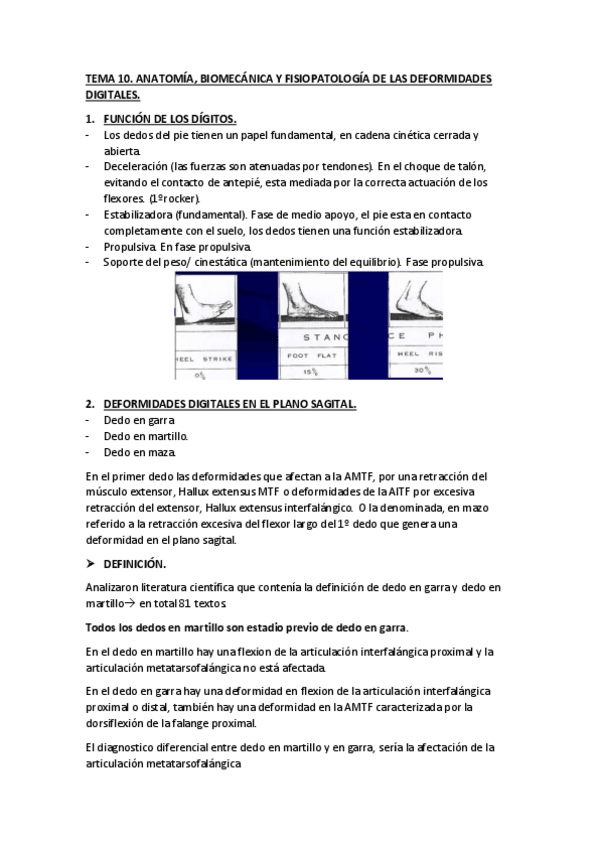 Miniatura del documento TEMA-10.pdf
