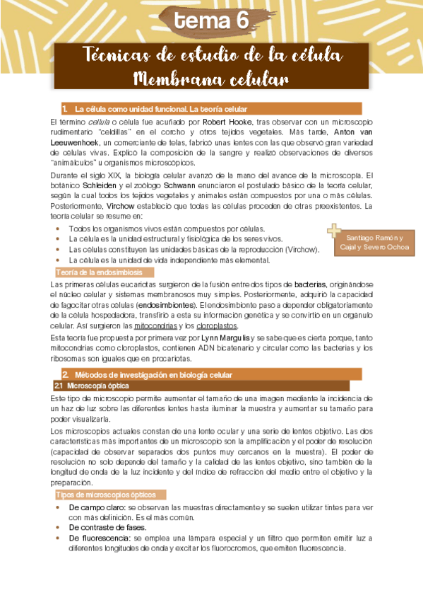 Miniatura del documento TEMA-6.pdf