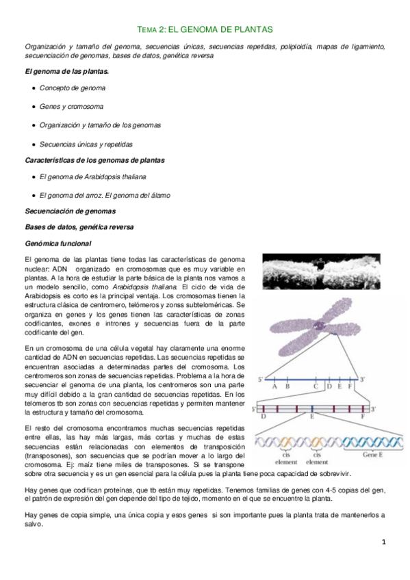 Miniatura del documento Tema 2. Bio Molecular.pdf
