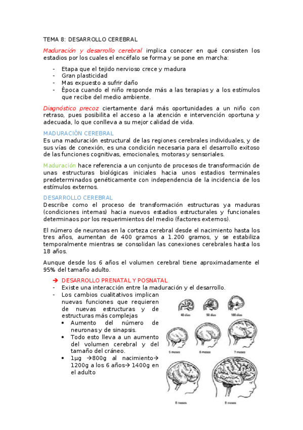 Miniatura del documento TEMA-8.docx