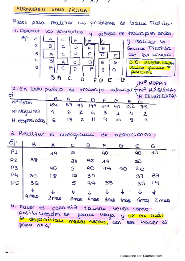 Miniatura del documento FPRMULARIO-COMPLETO-PI.pdf