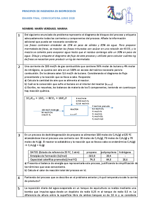 Miniatura del documento Examen-PIB-0906-MARIN-VERDUGO-MARINA.pdf
