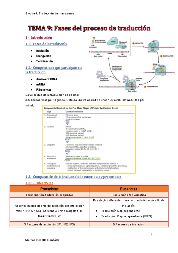 Miniatura del documento TEMA-9.pdf
