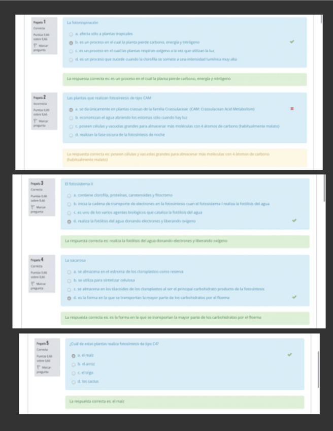 Miniatura del documento Autoevaluacion-Temas-456.pdf
