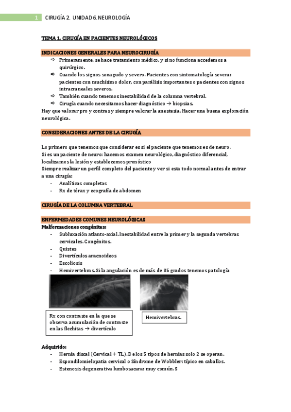 Miniatura del documento Tema-1.pdf
