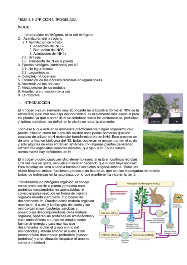 Miniatura del documento T4.pdf
