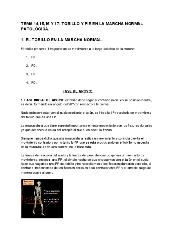 Miniatura del documento TEMA-141516-Y-17-TOBILLO-Y-PIE-EN-LA-MARCHA-NORMAL-PATOLOGICA.pdf