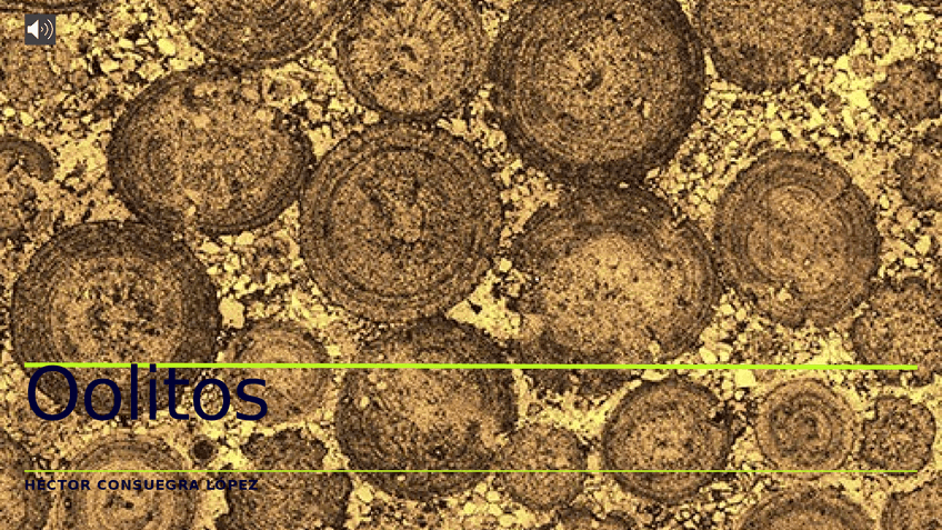 Miniatura del documento 1.pptx