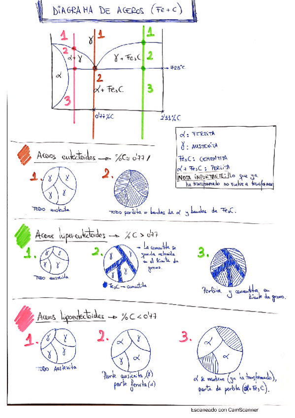 Miniatura del documento CamScanner-01-24-2021-18.pdf