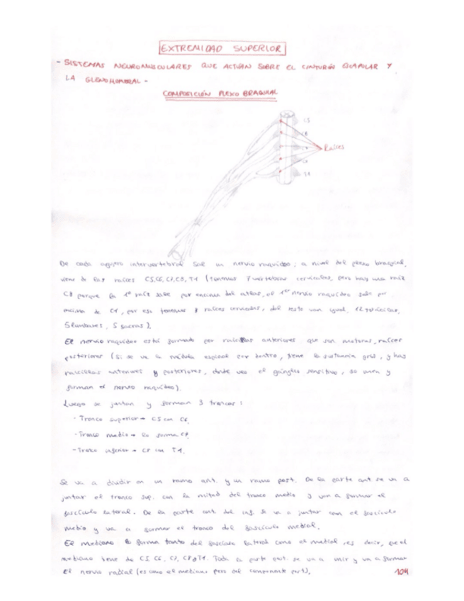 Miniatura del documento 10.pdf